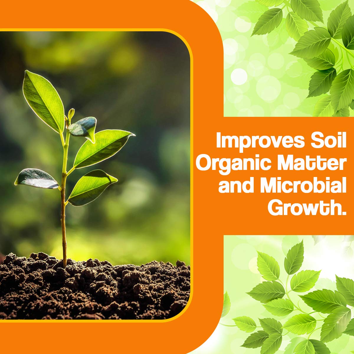 V.S GROW Humate Acid 98%(Organic Fertilizer)