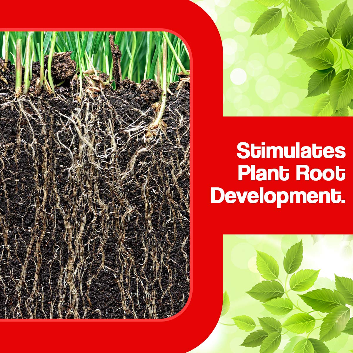 V.S GROW Humate Acid 98%(Organic Fertilizer)
