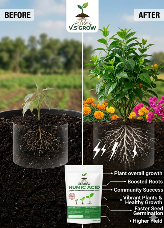 V.S GROW Humic Acid 98%